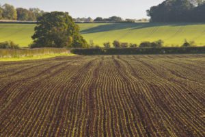 agriculture-horticulture